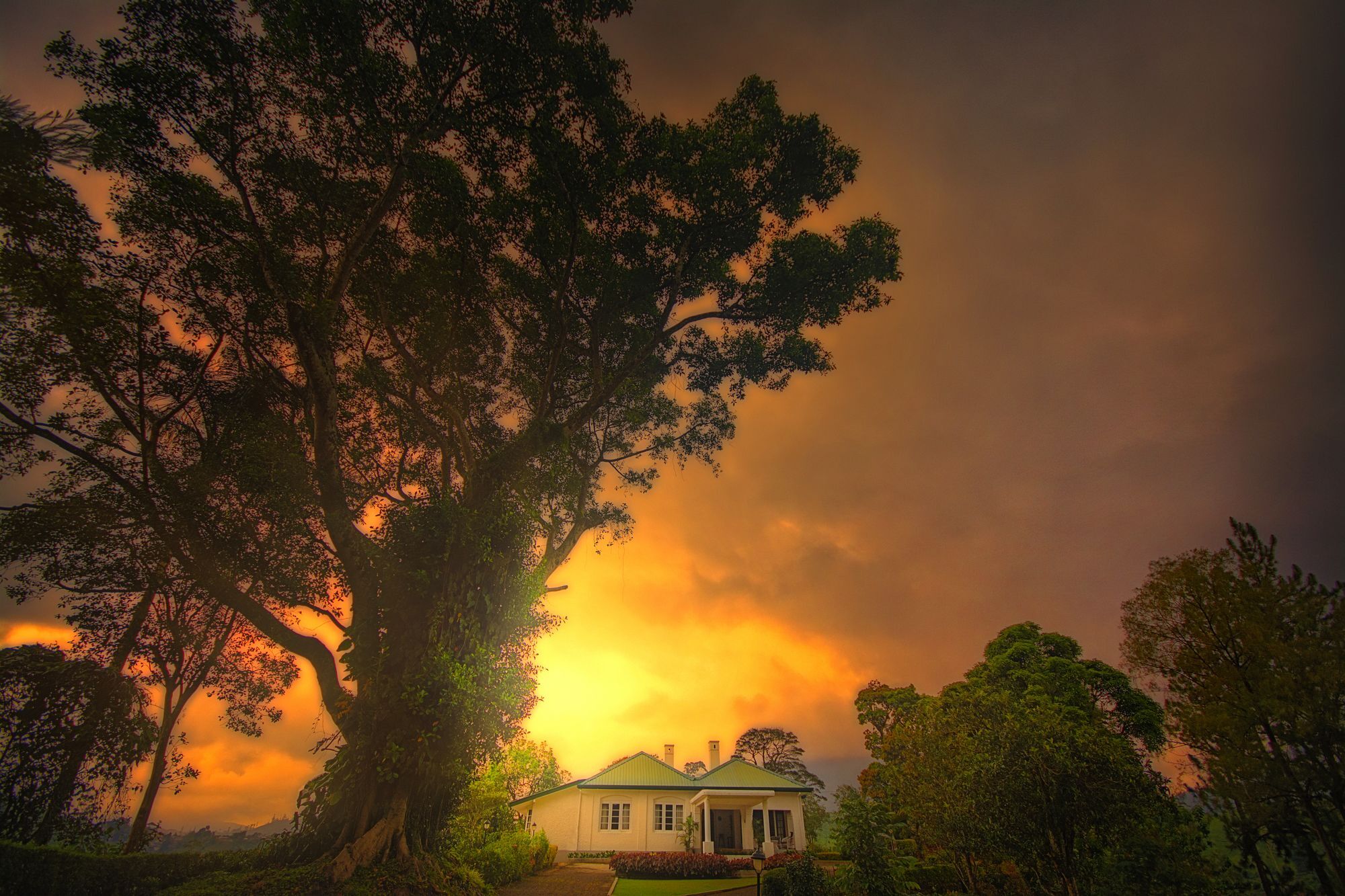 Craig Appin Bungalow Dickoya Exteriér fotografie